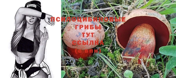 прущая мука Алексин