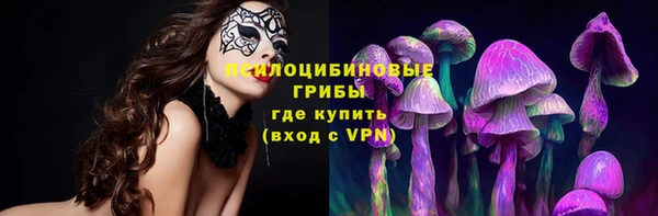 амф Алзамай