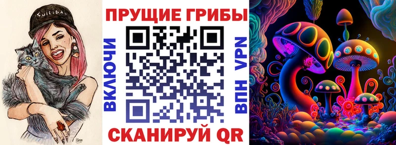 сайты даркнета какой сайт Сосновка Псилоцибиновые грибы Cubensis